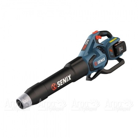 Воздуходувка аккумуляторная Senix BLAX2-M2-EU в Комсомольске-на-Амуре