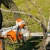 Аккумуляторная пила Stihl MSA 220 C-BQ-14" (без аккумулятора и зарядного устройства) в Комсомольске-на-Амуре